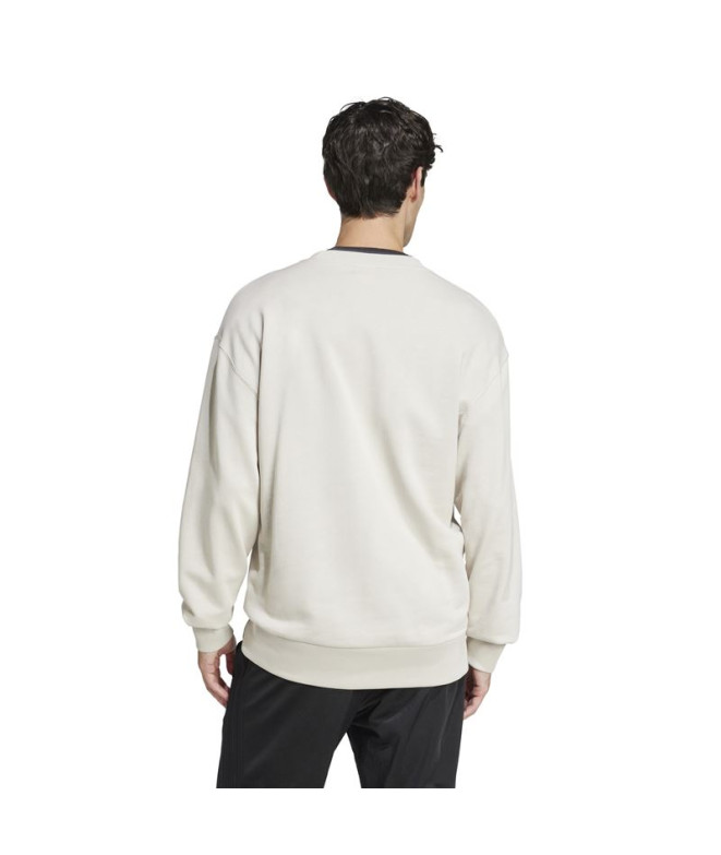 Sweat adidas French Terry Homme All Szn Crew Beige