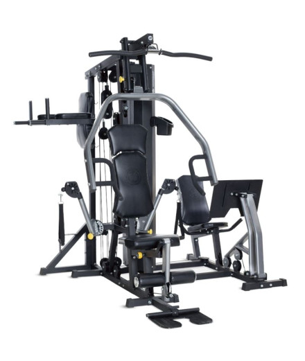 Multiestación de entrenamiento torus 5 Horizon fitness