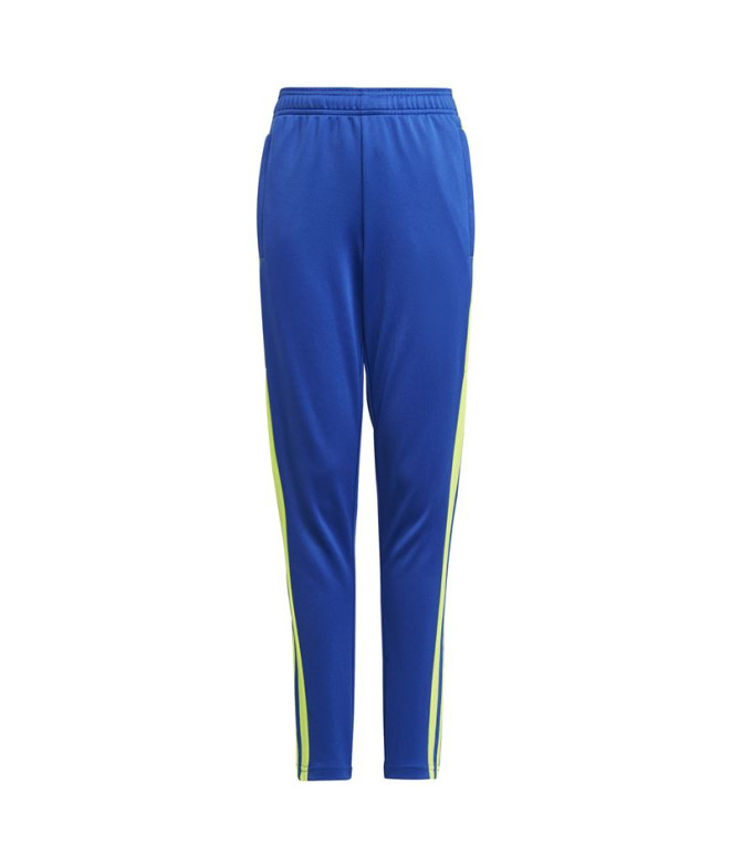 Pantalons Football Enfant par Adidas Squadra21 Tr Azurea