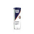 Bote de 3 Pelotas de Tenis Wilson Roland Garros All Court