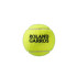 Bote de 3 Pelotas de Tenis Wilson Roland Garros All Court