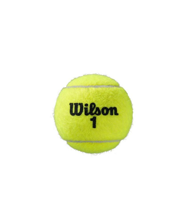 Balles Tennis Wilson Lot de 3 de Roland Garros...