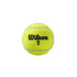Bote de 3 Pelotas de Tenis Wilson Roland Garros All Court