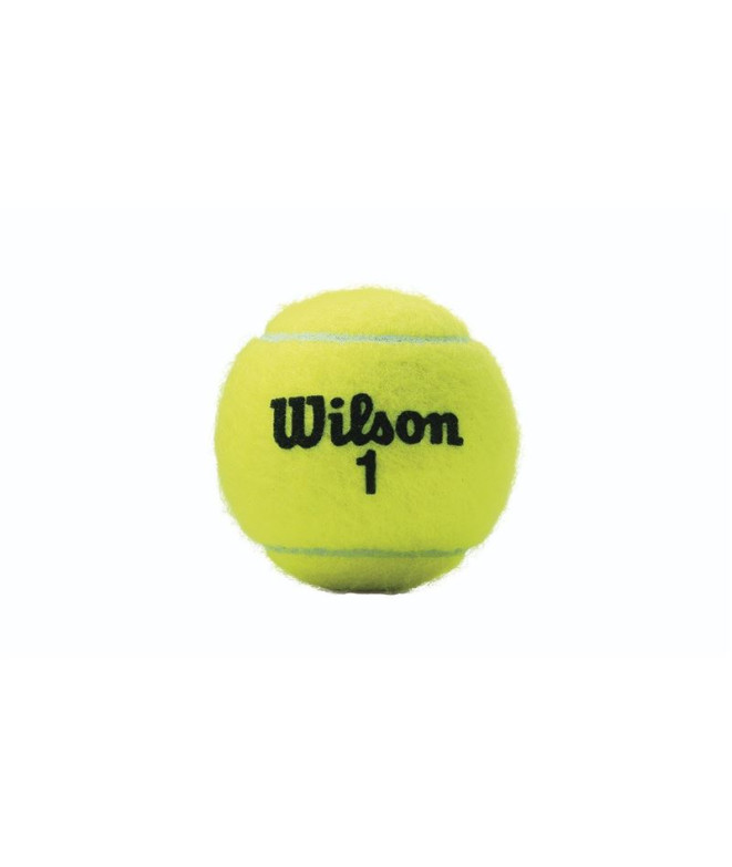 Balles Tennis Wilson du Championnat XD