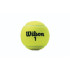 Bolas Tênis Wilson do Campeonato XD