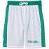 Pantalones de Baloncesto Spalding Essential Reversible Hombre Green / Blanco