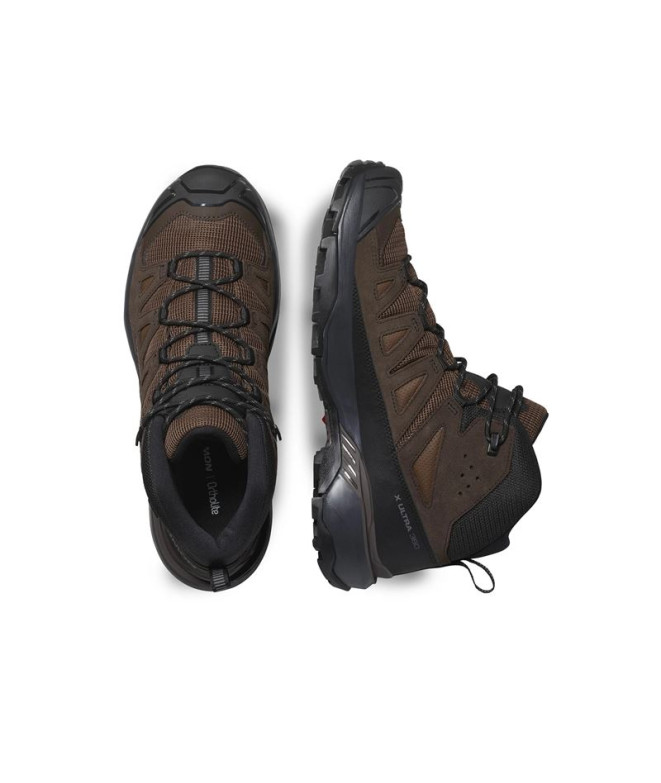 Botas de Montagne Salomon X Ultra 360 Ltr Mid...