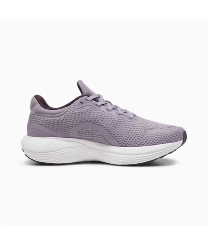 Chaussures RunningPUMA de Puma Scend Pro Pale Plum- Black