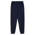 Calça Champion Homem Calças com punho canelado Azul