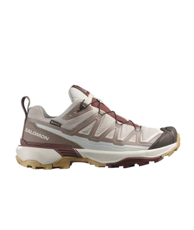 Chaussures Salomon X Ultra 360 Edge GtxSlv Femme