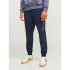 Calça Homem Jack & Jones Jpstgordon Jjalvis Sweat Pants Naf Navy Blazer
