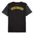 Camiseta Homem Réplica Puma Visitante Borussia Dortmund 24/25 Away Cinzento/Amarelo