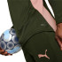 Moletom Homem Puma Manchester City Verde
