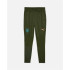 Calça Homem Puma Manchester City Training Verde