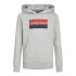 Moletom Homem Jack&Jones Jjnolan Sweat Hood Jnr Cinzento claro Melange