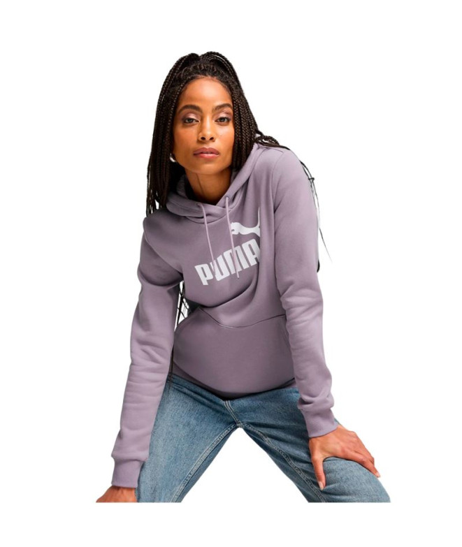 Sweat Décontracté Puma Essentials Logo Hoodie...