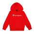 Moletom Champion Hoodie Infantil