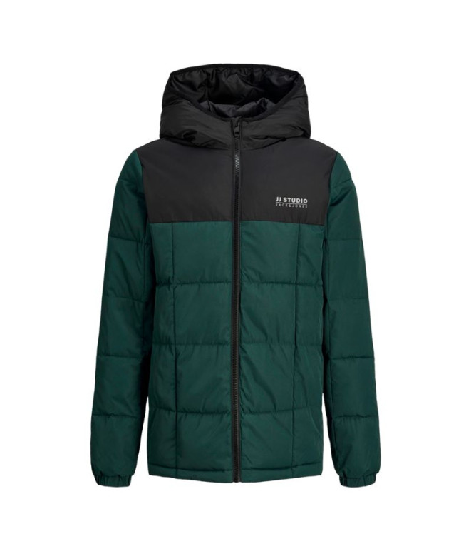 Chaqueta Jack&Jones Jjben Square Hood Jacket Jnr Hombre Magical Forest