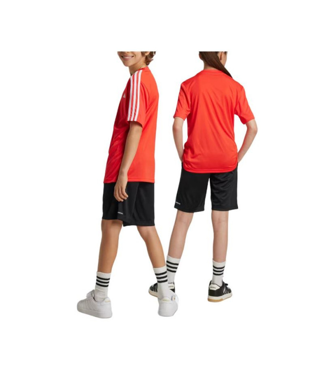 Conjunto adidas Essentials Aeroready 3 Bandas...