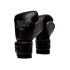 Luvas boxe Trainning de Everlast Powerlock 2 Black