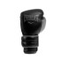 Luvas boxe Trainning de Everlast Powerlock 2 Black