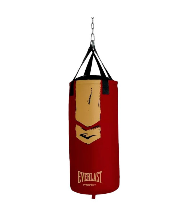Set de Boxe Everlast Prospect 2 Heavy Bag Kit...
