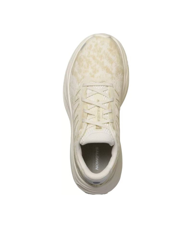 Chaussures de running Salomon Aero Glide 2...