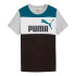 T-shirt Décontracté Puma Ess Block Enfant