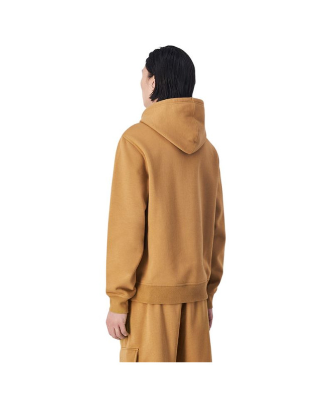Sweat Champion Homme Sweat à capuche marron