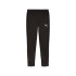Pantalon Puma EVOSTRIPE s DK Noir Homme