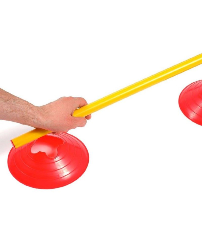 Set 50 Conos Con Soporte Picas Ag-505C Zastor...