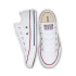 Sapatilhas Converse Chuck Taylor All Star Seasonal Branco Infantil