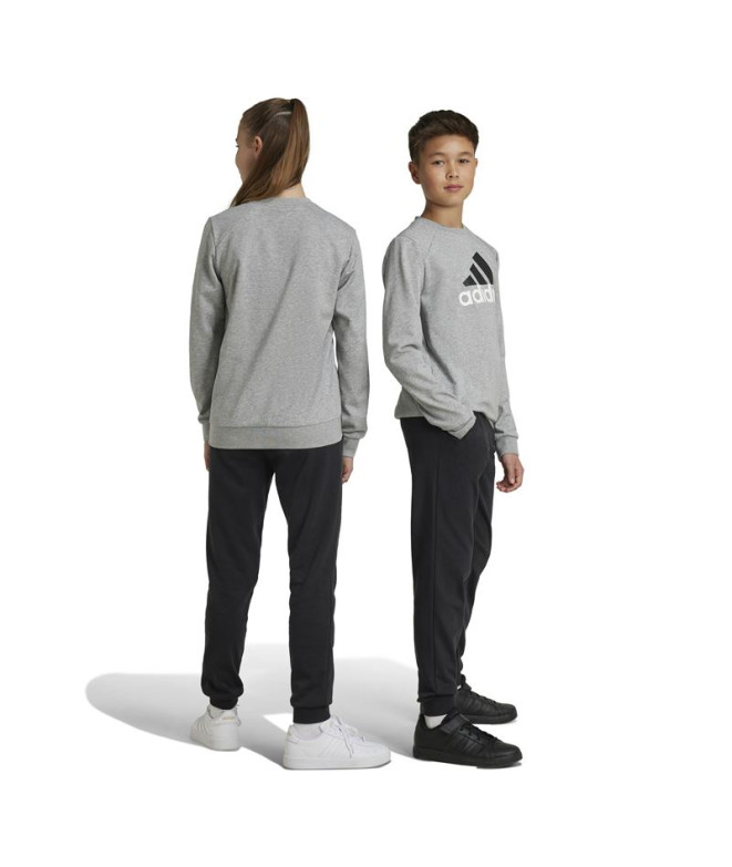 Chandal adidas Essentials Big Logo French Terry...