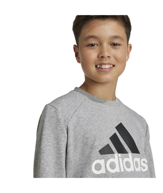 Chandal adidas Essentials Big Logo French Terry...