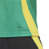 Camiseta de Futebol adidas Jamaica 2024 Pré Jogo Homem Verde