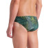 Maillot de bain Natation Arena Homme par Energy Swim Green Multi