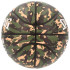 Balón de Baloncesto Spalding Commander Camo Sz7