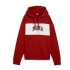 Sudadera Casual Puma Squad Hoodie Fl Mujer