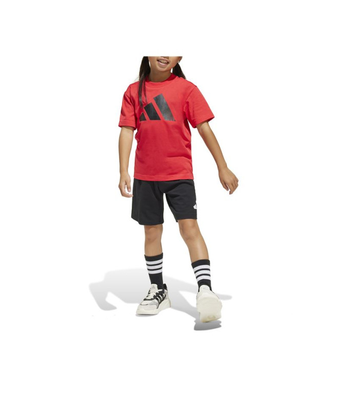 Conjunto adidas Set Infantil Lk Bl T- 160...