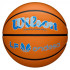 Balle de basket-ball Wilson Evo Nxt Game