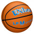 Balle de basket-ball Wilson Evo Nxt Game