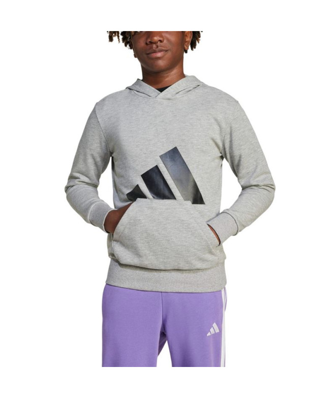 Sweat adidas French Terry Enfant Big Logo Hd Grey