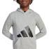 Sudadera adidas Big Logo French Terry Hd Infantil Gris