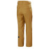 Calça Homem ski Helly Hansen Sogn Cargo Lynx