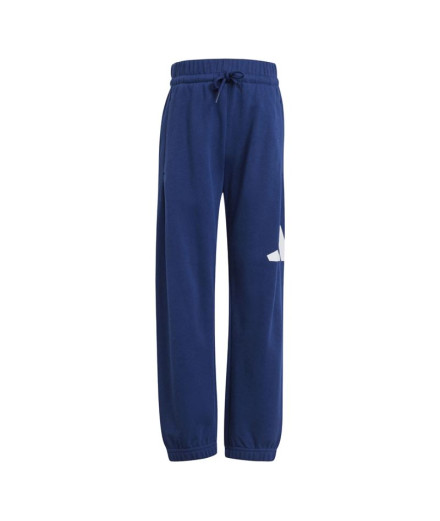Pantalones adidas Lk Big Logo French Terry Jog Infantil...