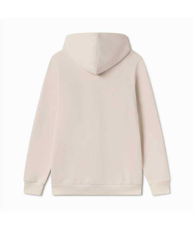 Sweat Homme Puma Ess+ Graphic Hoodie Fl Alpine...