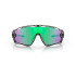 Gafas de Sol de Ciclismo Oakley Jawbreaker Gris Prizm Rd Jade