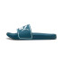 Chinelos Natação de Puma Leadcat 2.0