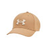 Boné Under Armour Homem Blitzing Adj Brown