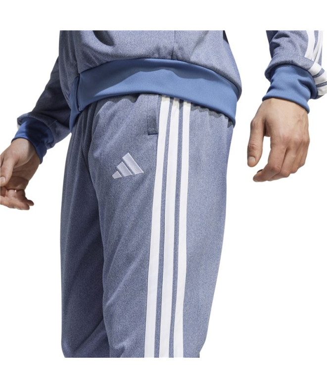 Pantalones adidas Tr Mel Hombre Menta
